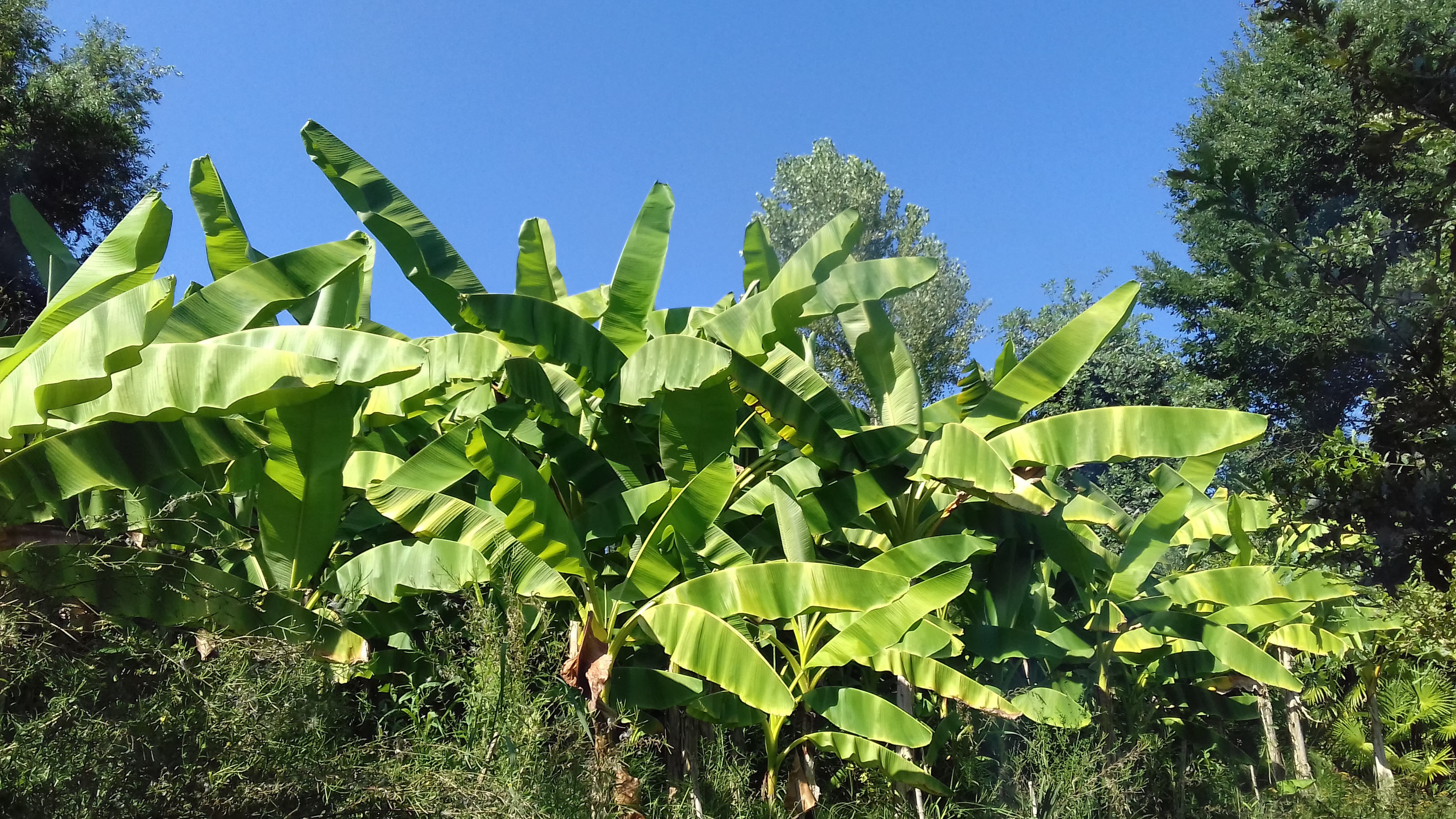 Photo n° 2 de l'avis de Isabelle.l fait le 31/08/2018 à 07:16
