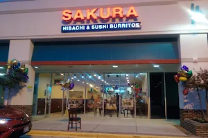 Sakura Hibachi & Poke image