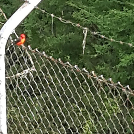 Park «Bushwick Inlet Park», reviews and photos, Kent Ave, Brooklyn, NY 11249, USA