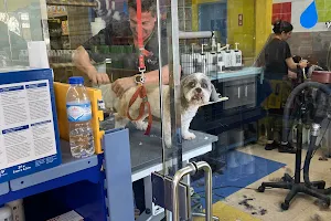 MyFriend Pet shop image