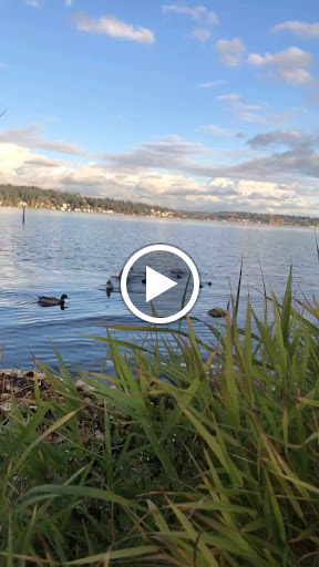 Park «Matthews Beach Park», reviews and photos, 5100 NE 93rd St, Seattle, WA 98115, USA