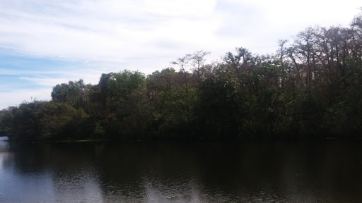 Performing Arts Theater «The Township Community Master Association Inc», reviews and photos, 2452 Lyons Rd, Pompano Beach, FL 33063, USA