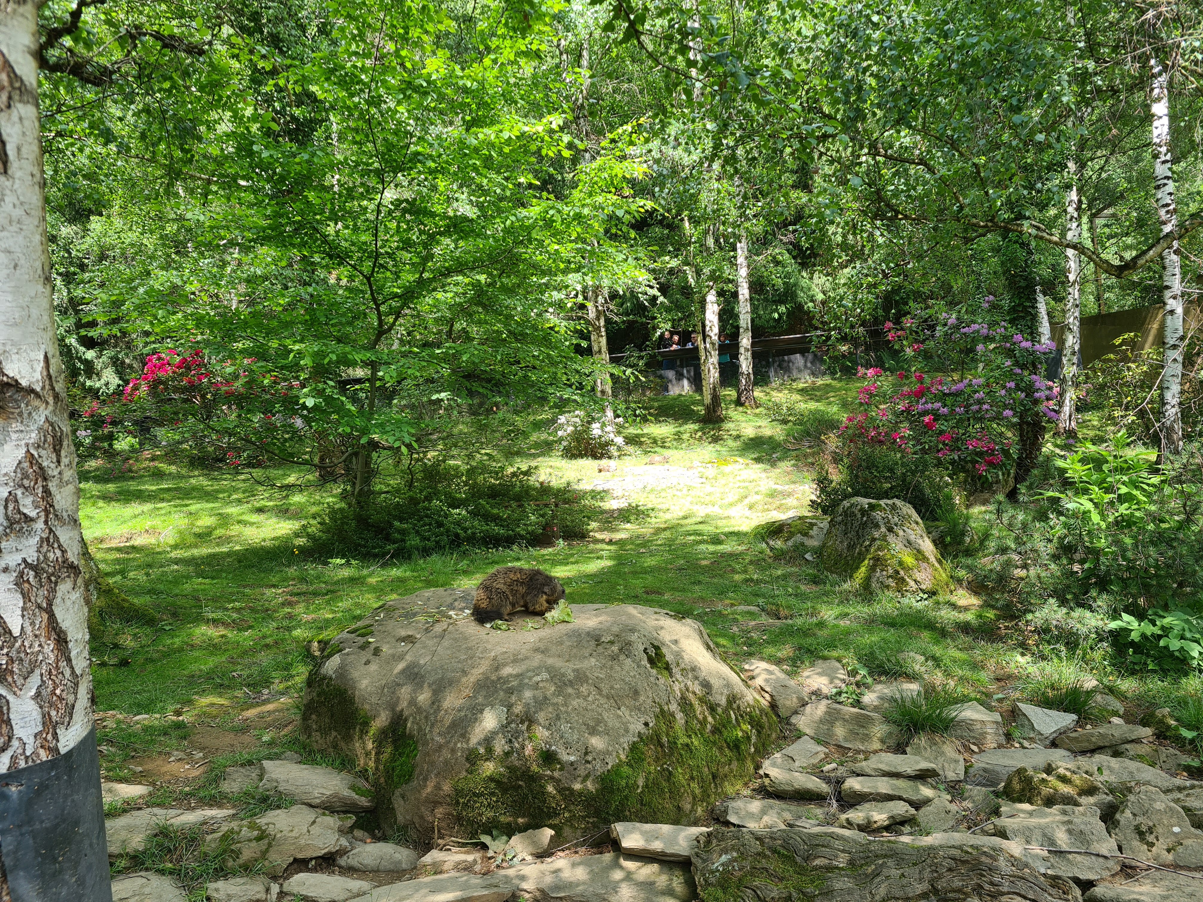 Photo n° 10 de l'avis de Antoine.u fait le 02/08/2023 à 07:13