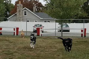 Danielle Ruiz-Murphy Center for Animal Welfare and Dog Park image