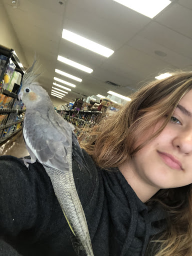 Pet Supply Store «Choice Pet - Danbury», reviews and photos, 67 Newtown Rd, Danbury, CT 06810, USA