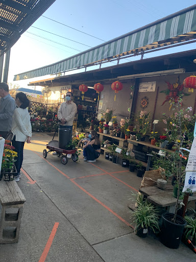 Plant Nursery «San Gabriel Nursery & Florist», reviews and photos, 632 S San Gabriel Blvd, San Gabriel, CA 91776, USA