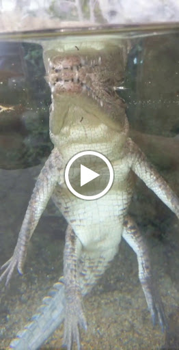 Park «Museum Park», reviews and photos, 1075 Biscayne Blvd, Miami, FL 33132, USA