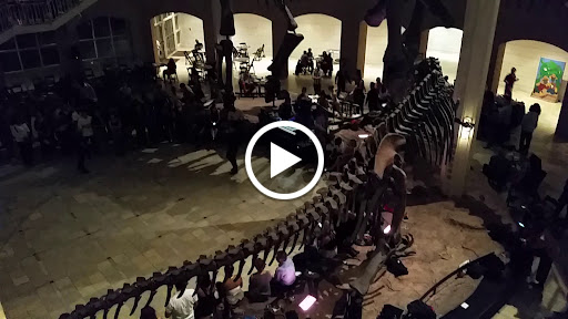 Nature Preserve «Fernbank Forest», reviews and photos, 767 Clifton Rd, Atlanta, GA 30307, USA