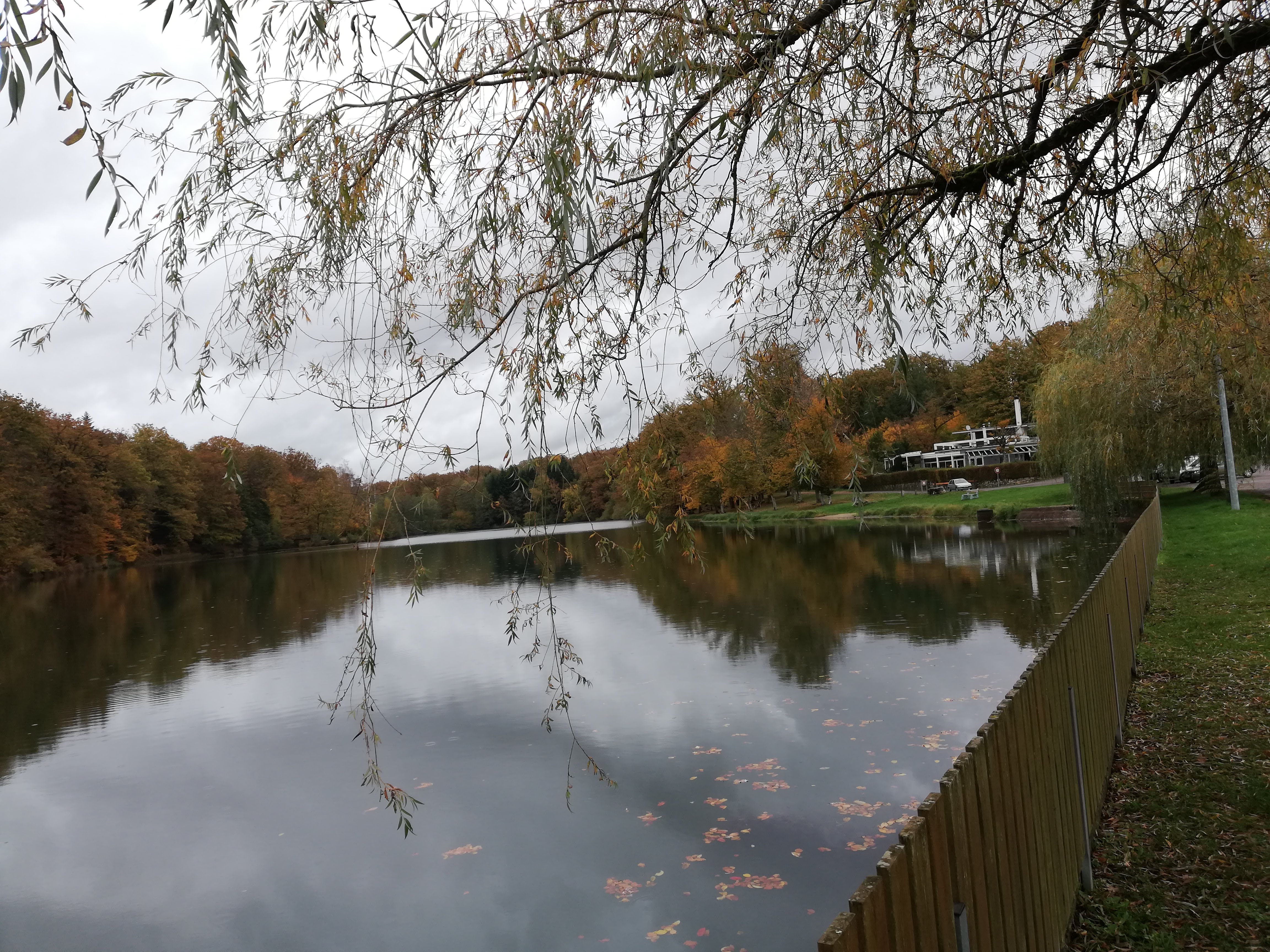 Photo n° 15 de l'avis de E..s fait le 31/10/2020 à 07:52