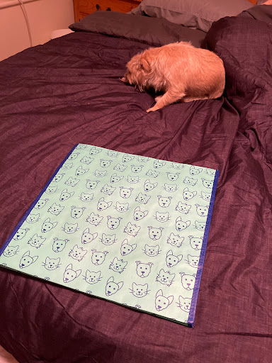 Pet Supply Store «Petco Animal Supplies», reviews and photos, 1483 NJ-23 #14b, Kinnelon, NJ 07405, USA