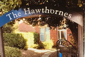 The Hawthornes image