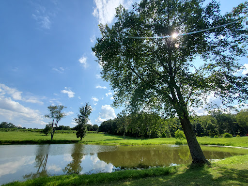 Winery «Villa Antonio Winery», reviews and photos, 3660 Linhorst Rd, Hillsboro, MO 63050, USA