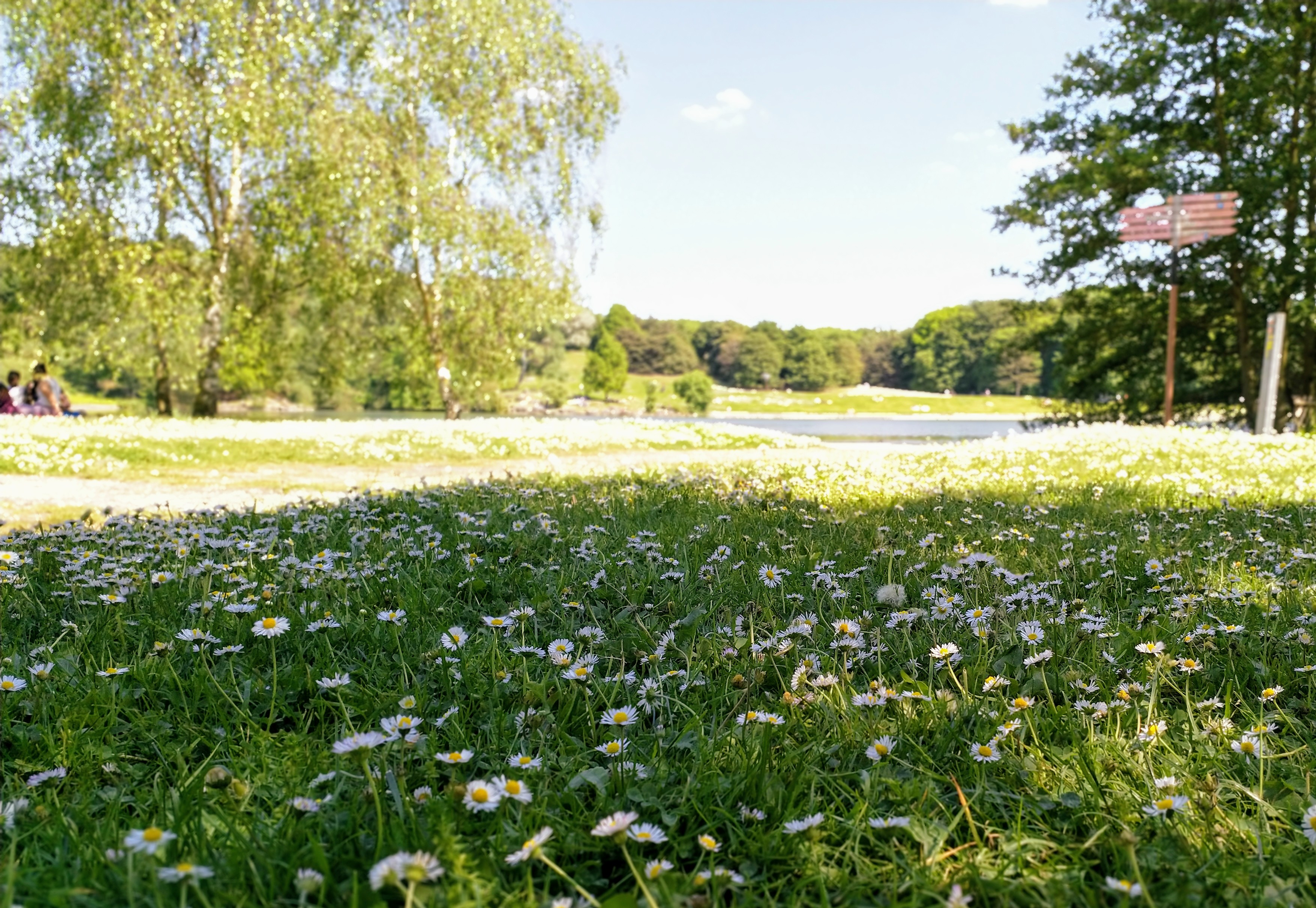 Photo n° 6 de l'avis de Sam.. fait le 08/05/2018 à 16:27