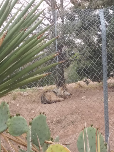 Tourist Attraction «Madame Tussauds Las Vegas», reviews and photos, 3377 S Las Vegas Blvd #2001, Las Vegas, NV 89109, USA