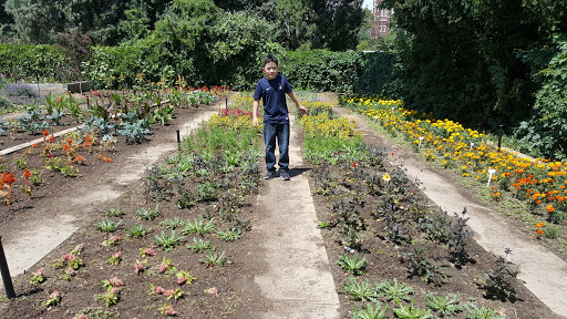 Golf Course «City Park Golf Course», reviews and photos, 2500 York St, Denver, CO 80205, USA