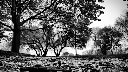 Performing Arts Theater «Prairie Center For the Arts», reviews and photos, 201 Schaumburg Ct, Schaumburg, IL 60193, USA