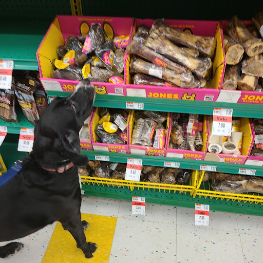 Pet Supply Store «Pet Supplies Plus», reviews and photos, 585 Moseley Rd, Fairport, NY 14450, USA