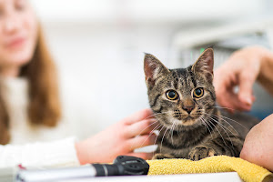 Chryston Veterinary Centre