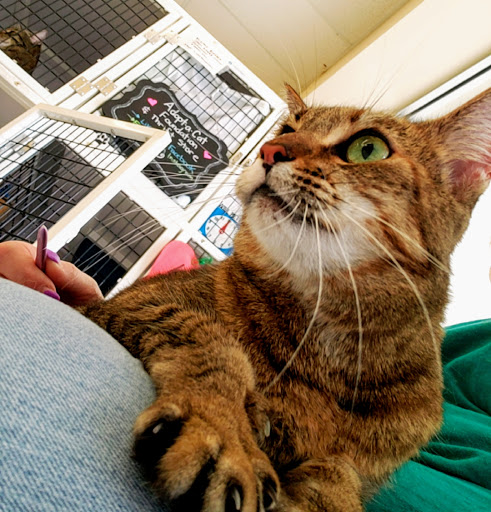 Pet Supply Store «Pet Supplies Plus», reviews and photos, 1258 Northlake Blvd, Lake Park, FL 33403, USA