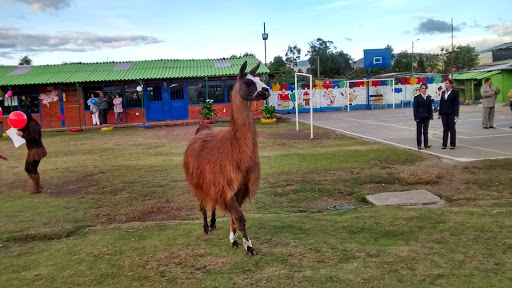 Colegio Celestin Freinet Sede Norte