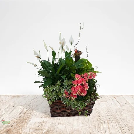 Florist «Sanford Flower Shop», reviews and photos, 209 E Commercial St, Sanford, FL 32771, USA