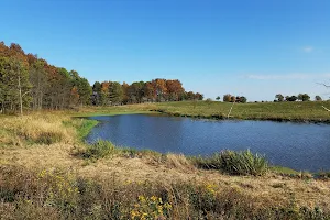 Pine Dunes Forest Preserve image