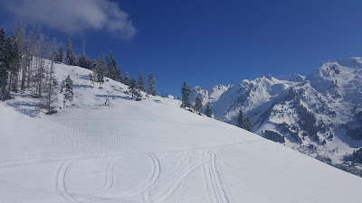 Elegance Lodge - Snowlodge à La Clusaz