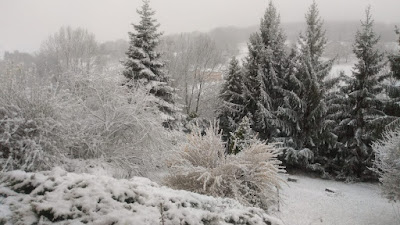 Ruisseau du Cassé à Montjoie-en-Couserans