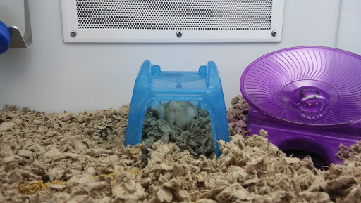 Pet Supply Store «Petco Animal Supplies», reviews and photos, 2000 NE Burnside Rd, Gresham, OR 97030, USA