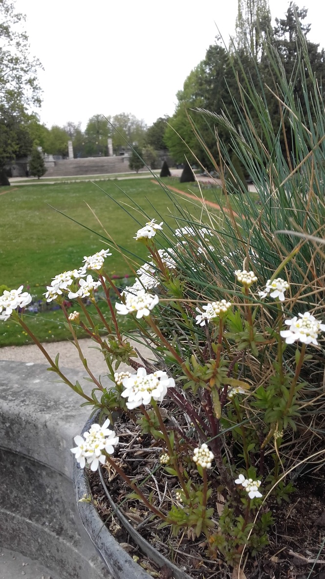 Photo n° 16 de l'avis de Jane.e fait le 10/04/2021 à 15:17