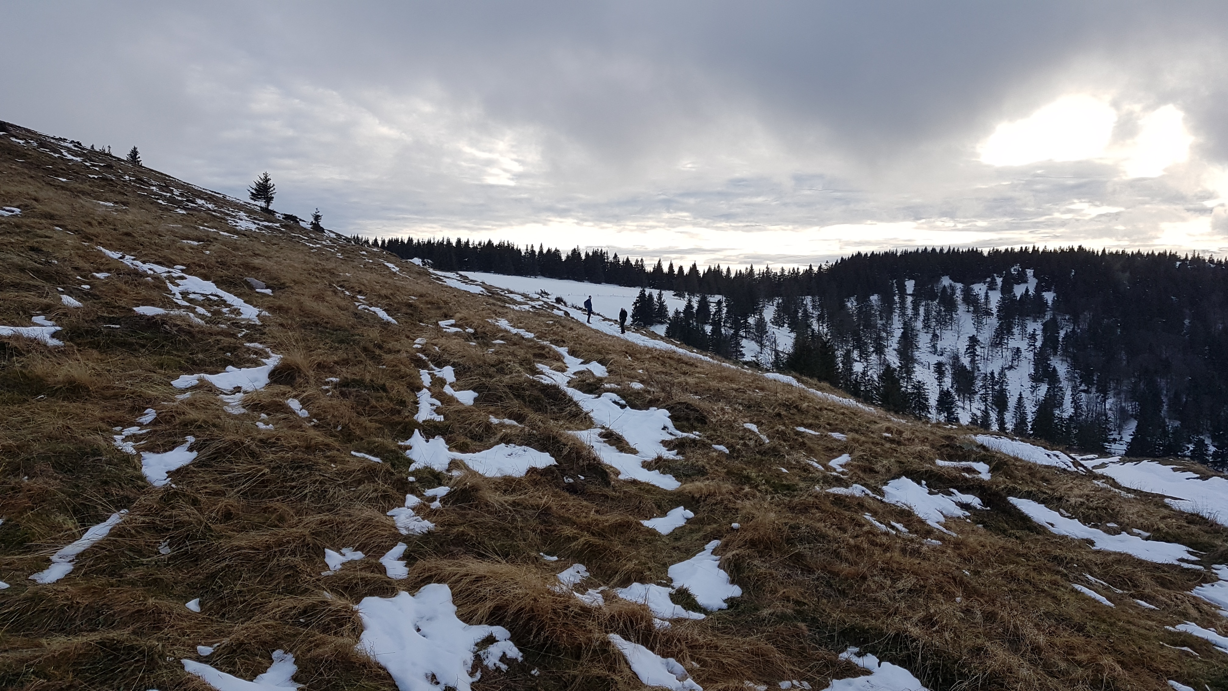 Photo n° 14 de l'avis de Samuel.a fait le 11/11/2016 à 18:47