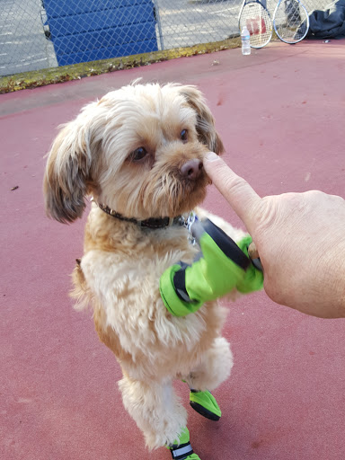 Pet Supply Store «PetSmart», reviews and photos, 10830 Olson Dr, Rancho Cordova, CA 95670, USA