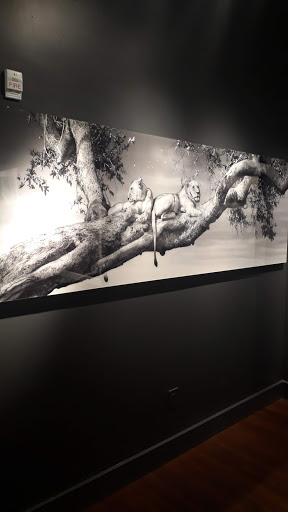 Art Gallery «National Geographic | Fine Art Galleries», reviews and photos, 607 E Las Olas Blvd, Fort Lauderdale, FL 33301, USA