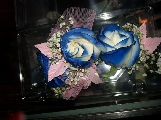 Florist «The Flower Pot & Basket Shop», reviews and photos, 5631 W Madison St, Chicago, IL 60644, USA