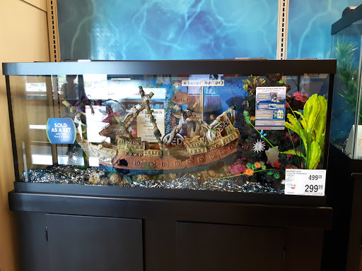 Pet Supply Store «PetSmart», reviews and photos, 466 S Watson Rd, Buckeye, AZ 85326, USA