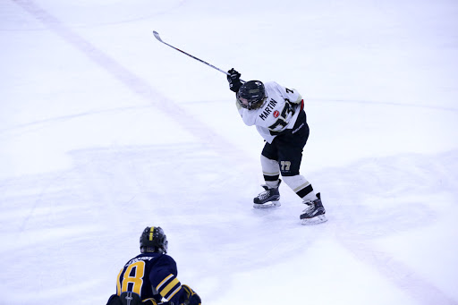 Ice Skating Rink «The Edge Ice Arena», reviews and photos, 735 E Jefferson St, Bensenville, IL 60106, USA