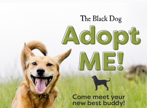 Clothing Store «The Black Dog General Store», reviews and photos, 214 Main St, Falmouth, MA 02540, USA