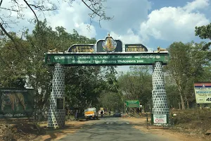Mudumalai Tiger Reserve image