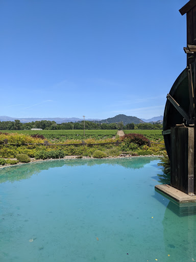 Vineyard «Mill Creek Vineyards & Winery», reviews and photos, 1401 Westside Rd, Healdsburg, CA 95448, USA