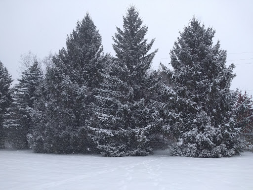 Hardware Store «Great Lakes Ace Hardware», reviews and photos, 5591 Sashabaw Rd, Village of Clarkston, MI 48346, USA