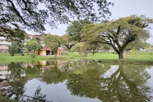 Tasik Harapan, Universiti Sains Malaysia, Penang image