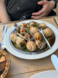 Escargot du Restaurant français La Taverne de Montmartre à Paris - n°17