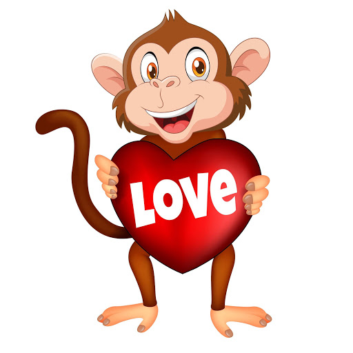 Amusement Center «Little Monkey Bizness», reviews and photos, 14693 Orchard Pkwy, Westminster, CO 80023, USA