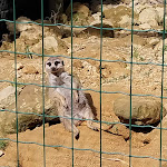 Photo n°1 de l'avis de Matteo.u fait le 25/03/2024 à 05:17 sur le  Parc Gallorose à Loc. Cedrino