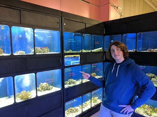 Shopping Mall «Winchester Aquarium & Pet Center», reviews and photos, 190 Costello Dr, Winchester, VA 22602, USA