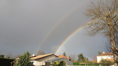 Webhabitat à Pessac