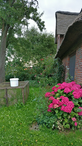 Dr.med.vet. Mathias Sielaff Tierarzt unter Pellworm, Schleswig-Holstein