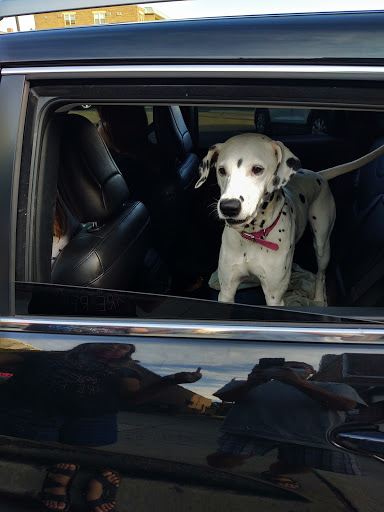 Liquor Store «Fine Wine And Good Spirits», reviews and photos, 12 E Hinckley Ave, Ridley Park, PA 19078, USA