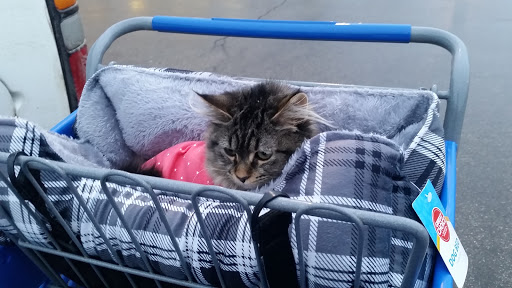 Pet Supply Store «PetSmart», reviews and photos, 482 Stillwater Ave Ste 2A, Bangor, ME 04401, USA