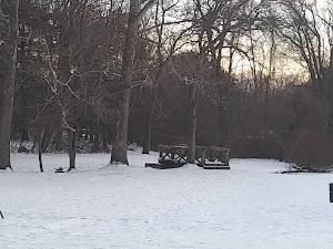 AW Stanley Park - photo 67